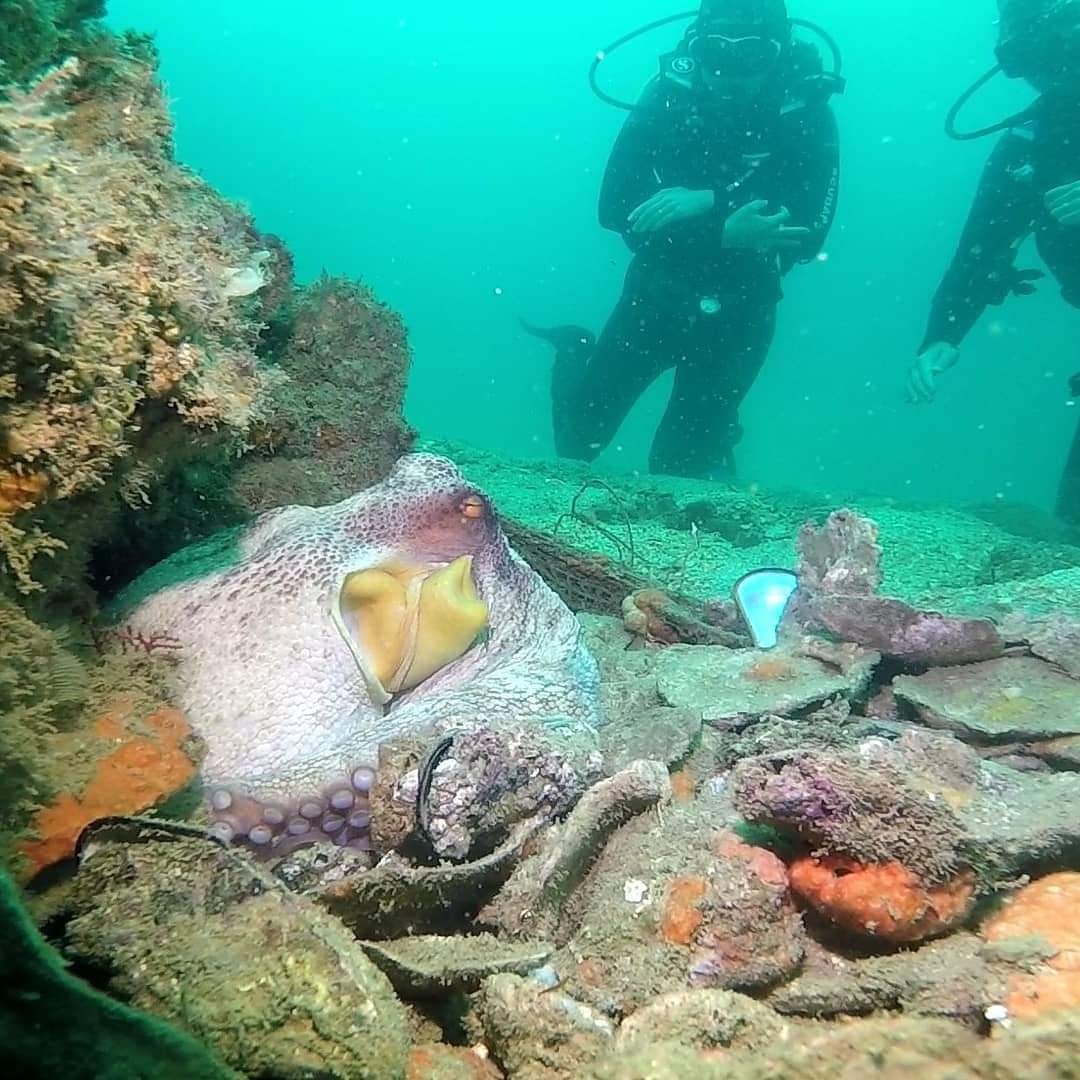 FB_IMG_1614463835499