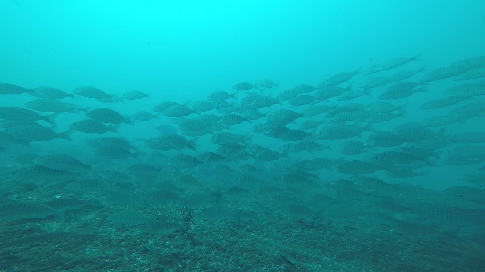 GOPR1700 – Cópia_Moment35