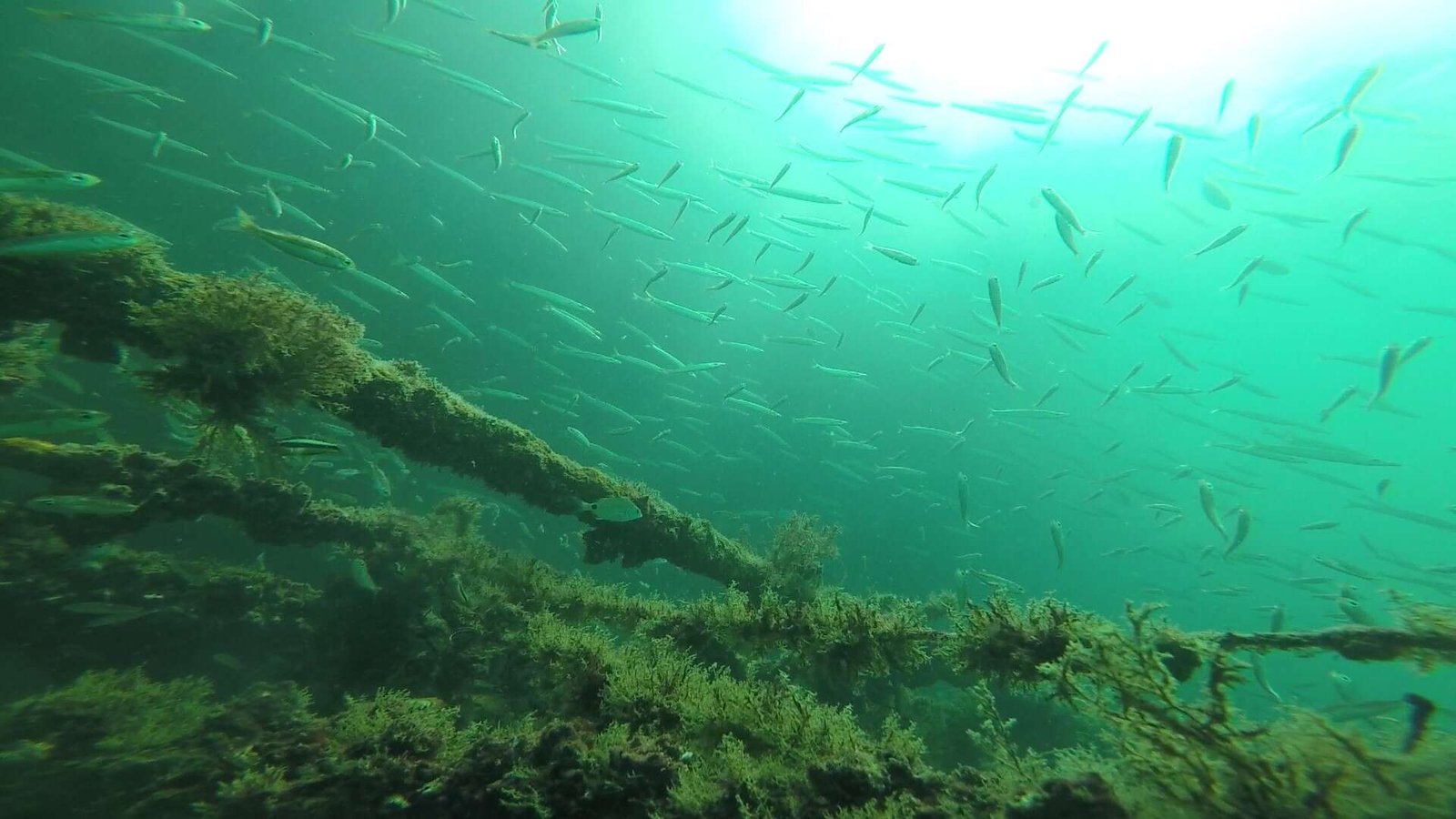 GOPR1701 – Cópia_Moment36