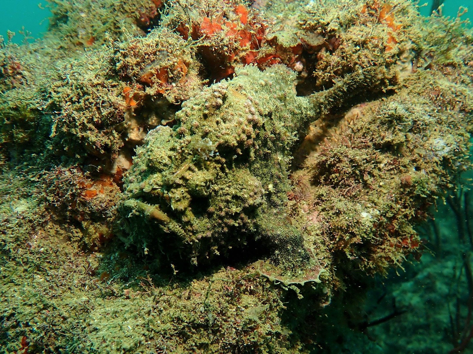 WhatsApp Image 2024-08-19 at 19.12.46