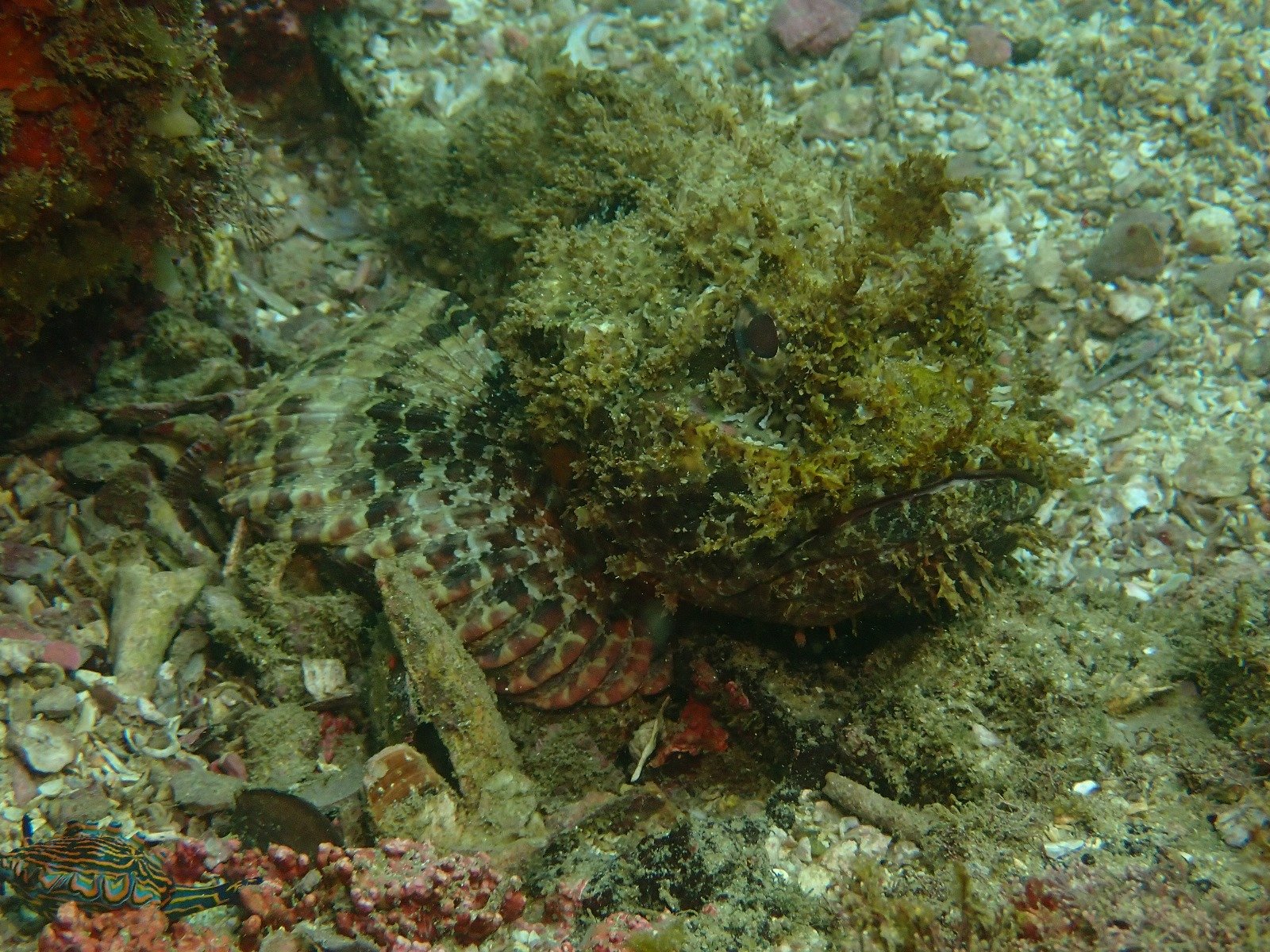 WhatsApp Image 2024-08-19 at 19.12.48