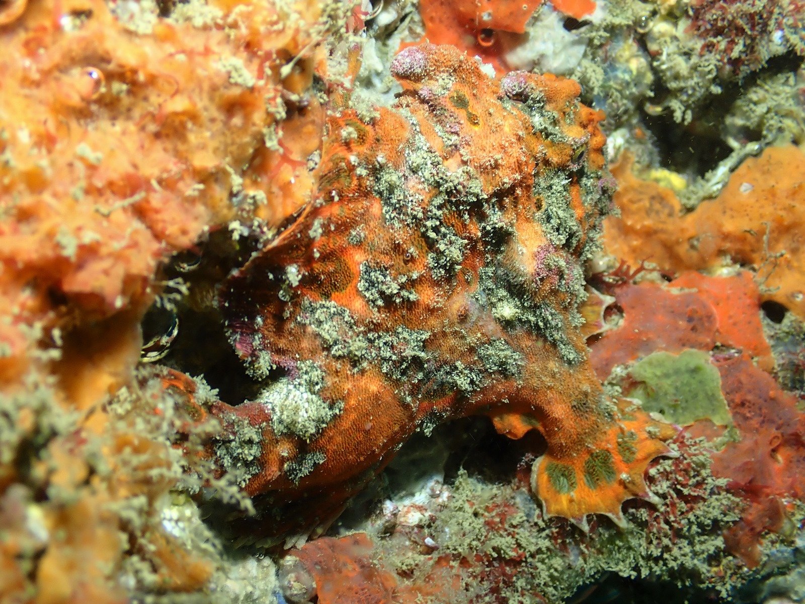 WhatsApp Image 2024-08-19 at 19.12.50 (1)