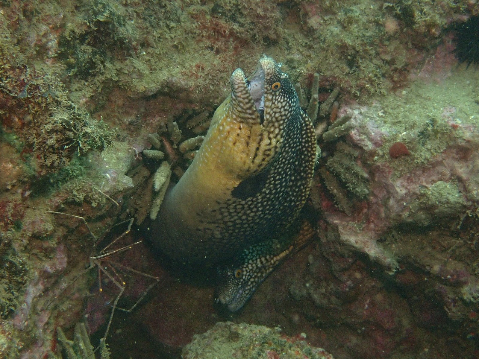 WhatsApp Image 2024-08-19 at 19.12.51 (1)