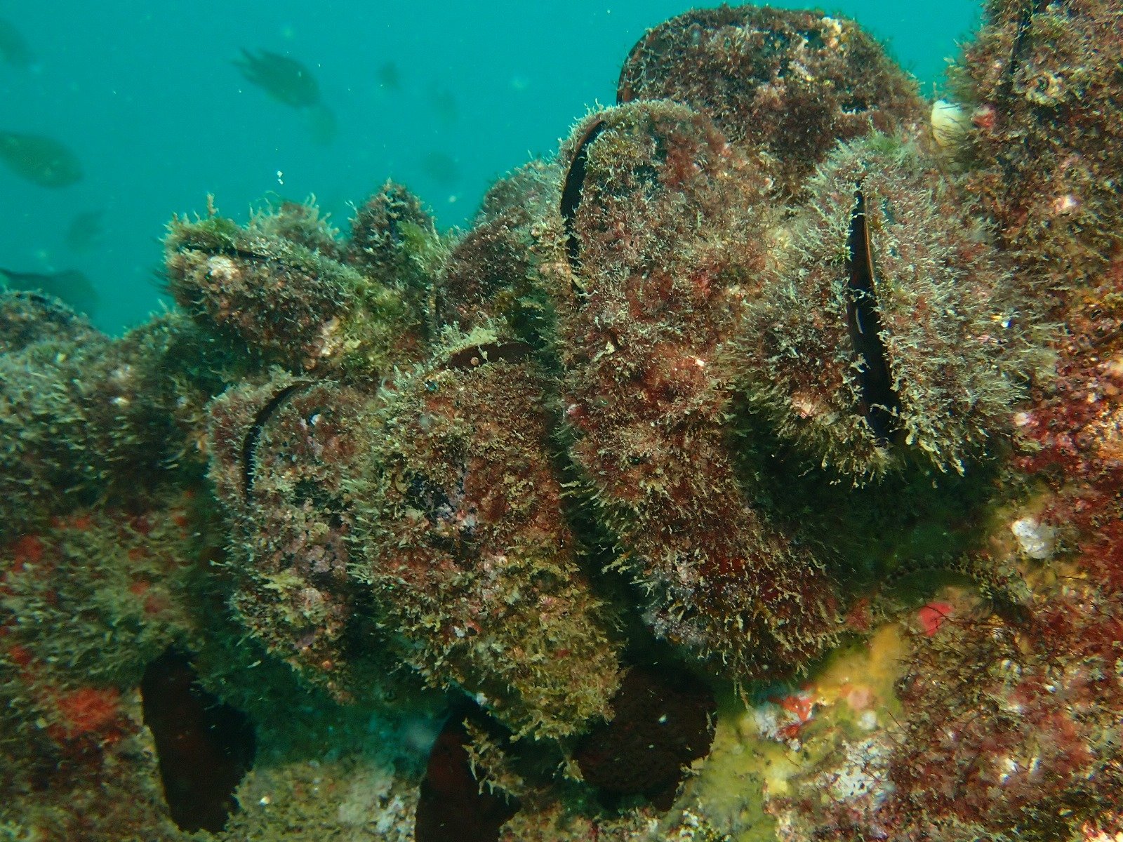 WhatsApp Image 2024-08-19 at 19.12.53 (1)