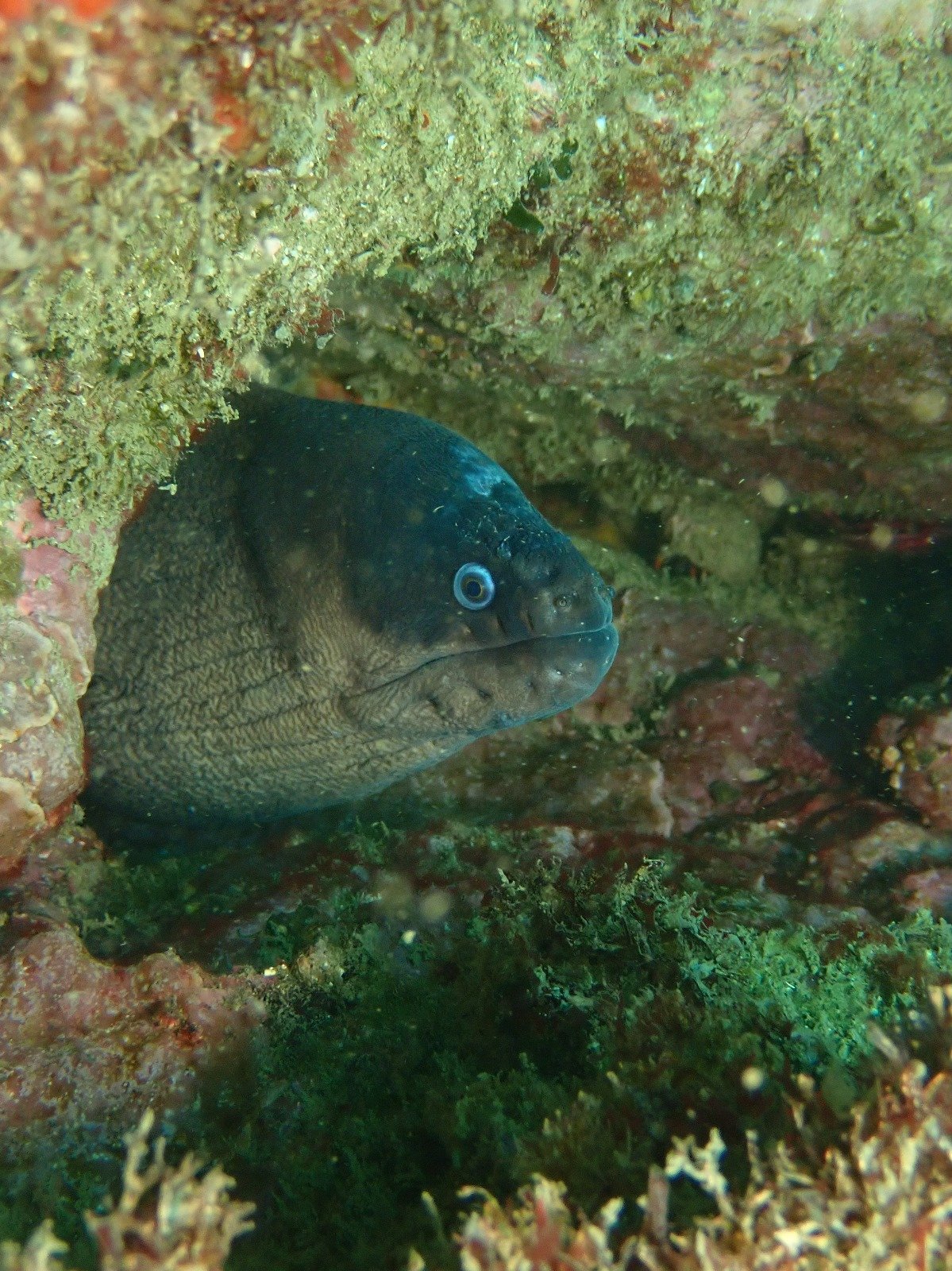 WhatsApp Image 2024-08-19 at 19.12.53