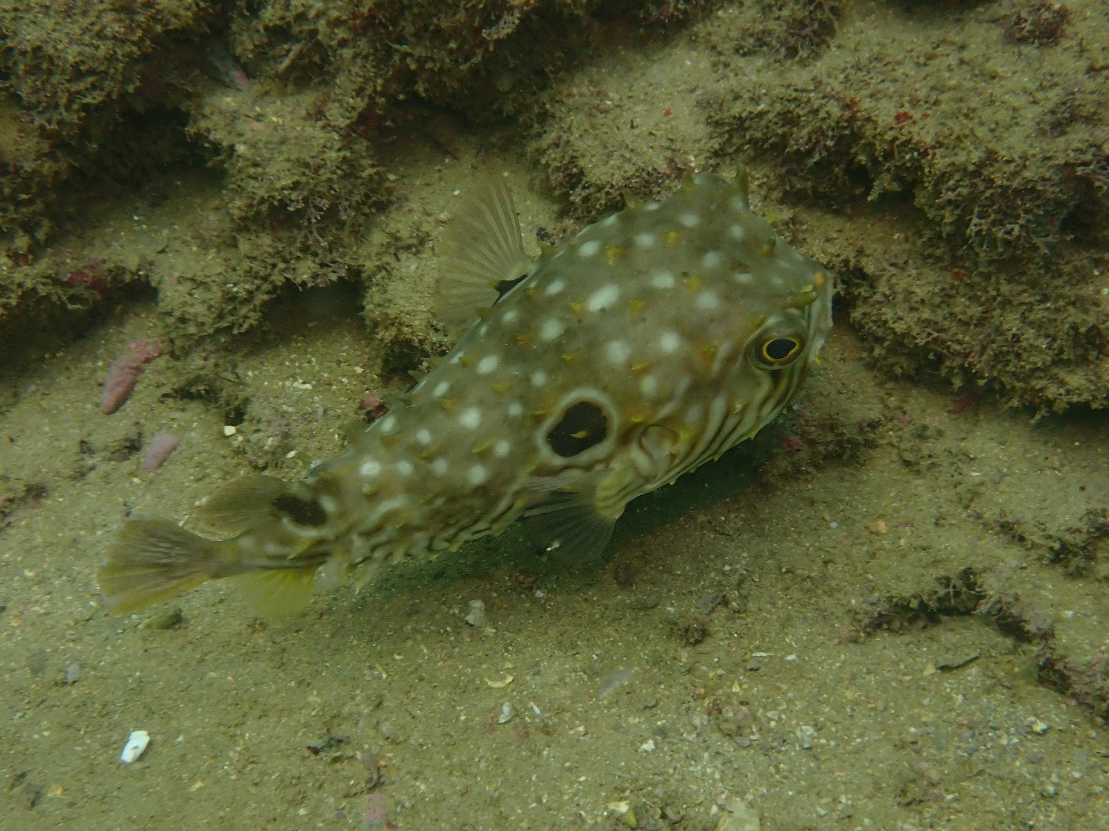 WhatsApp Image 2024-08-19 at 19.12.54 (1)