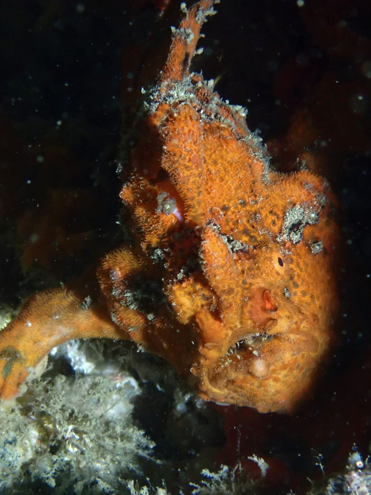 WhatsApp Image 2024-08-19 at 19.12.54