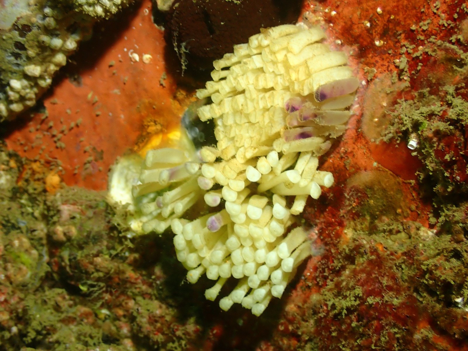 WhatsApp Image 2024-08-19 at 19.12.56 (1)