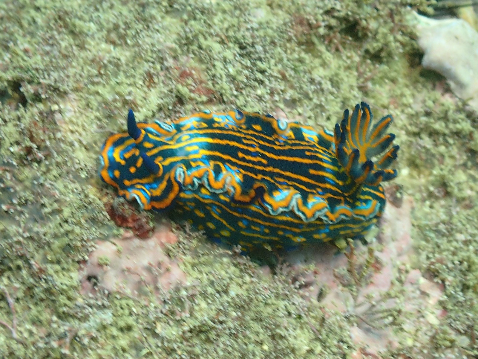 WhatsApp Image 2024-08-19 at 19.12.56