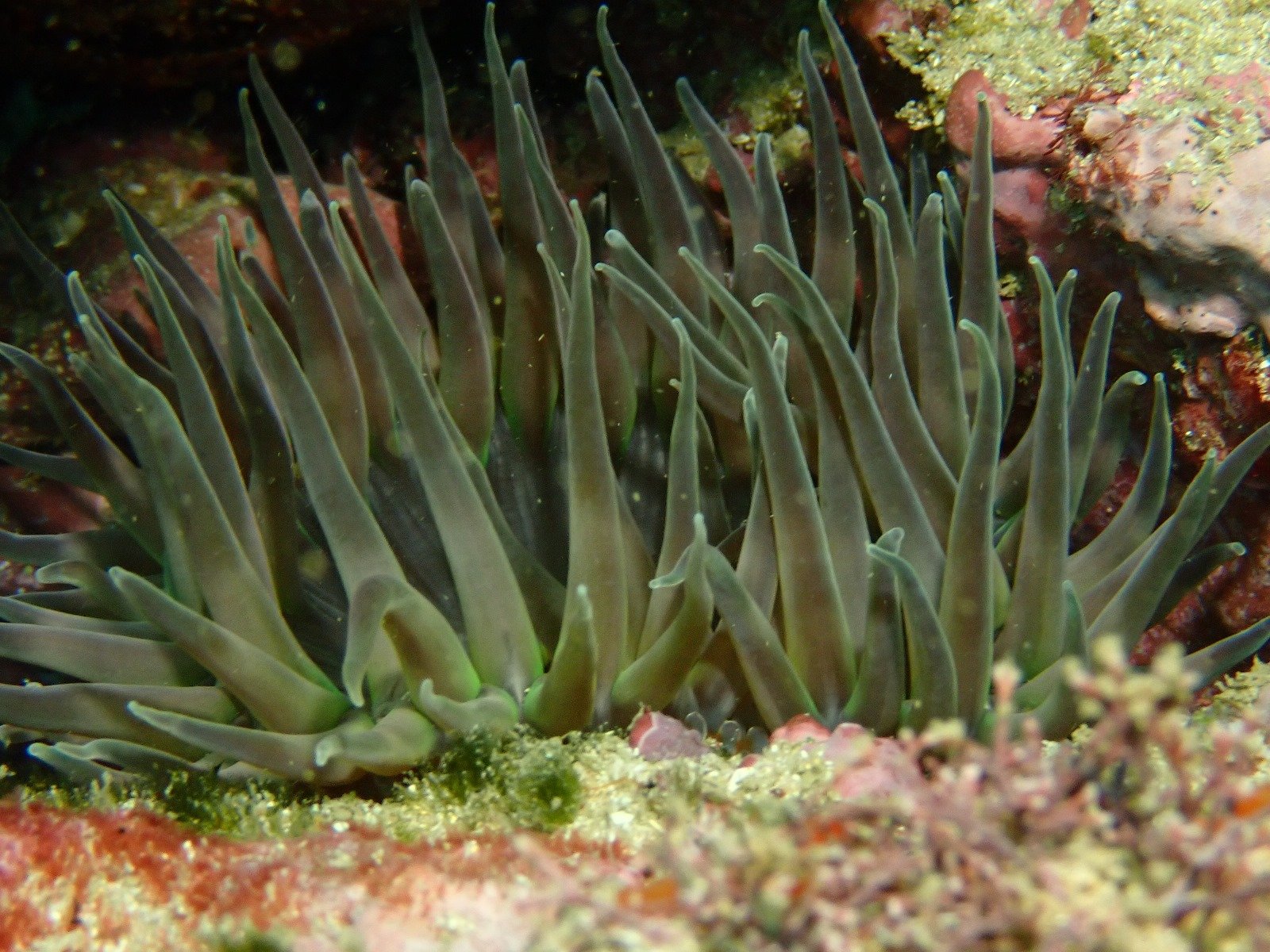 WhatsApp Image 2024-08-19 at 19.12.57 (1)