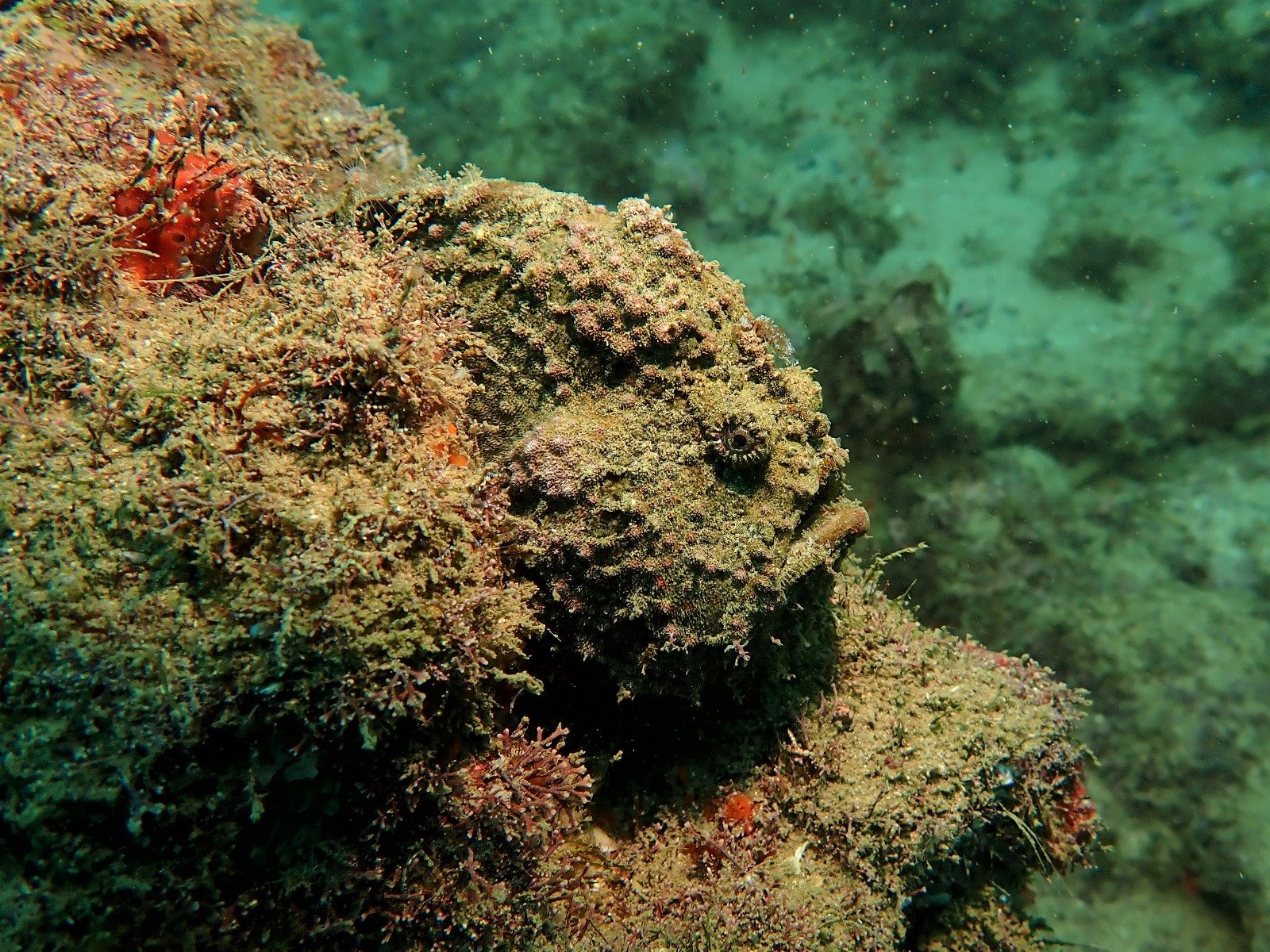 WhatsApp Image 2024-08-19 at 19.12.58