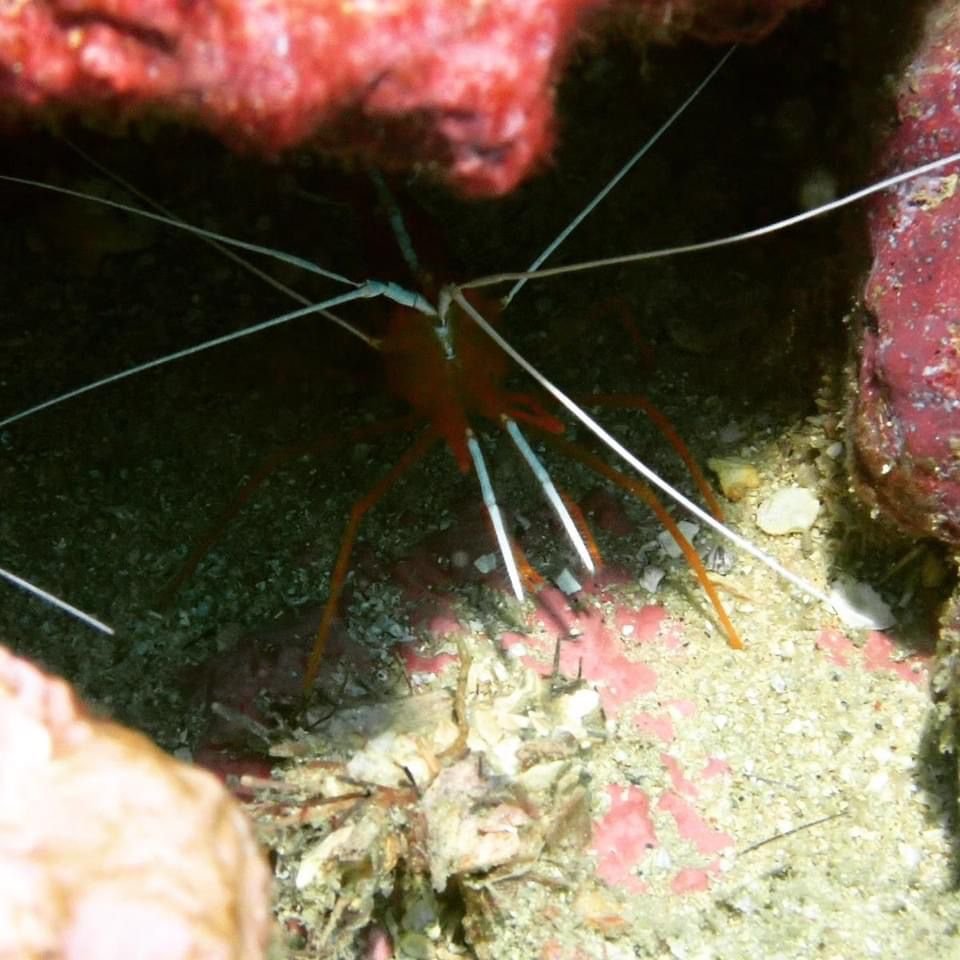 WhatsApp Image 2024-08-19 at 19.12.59 (1)