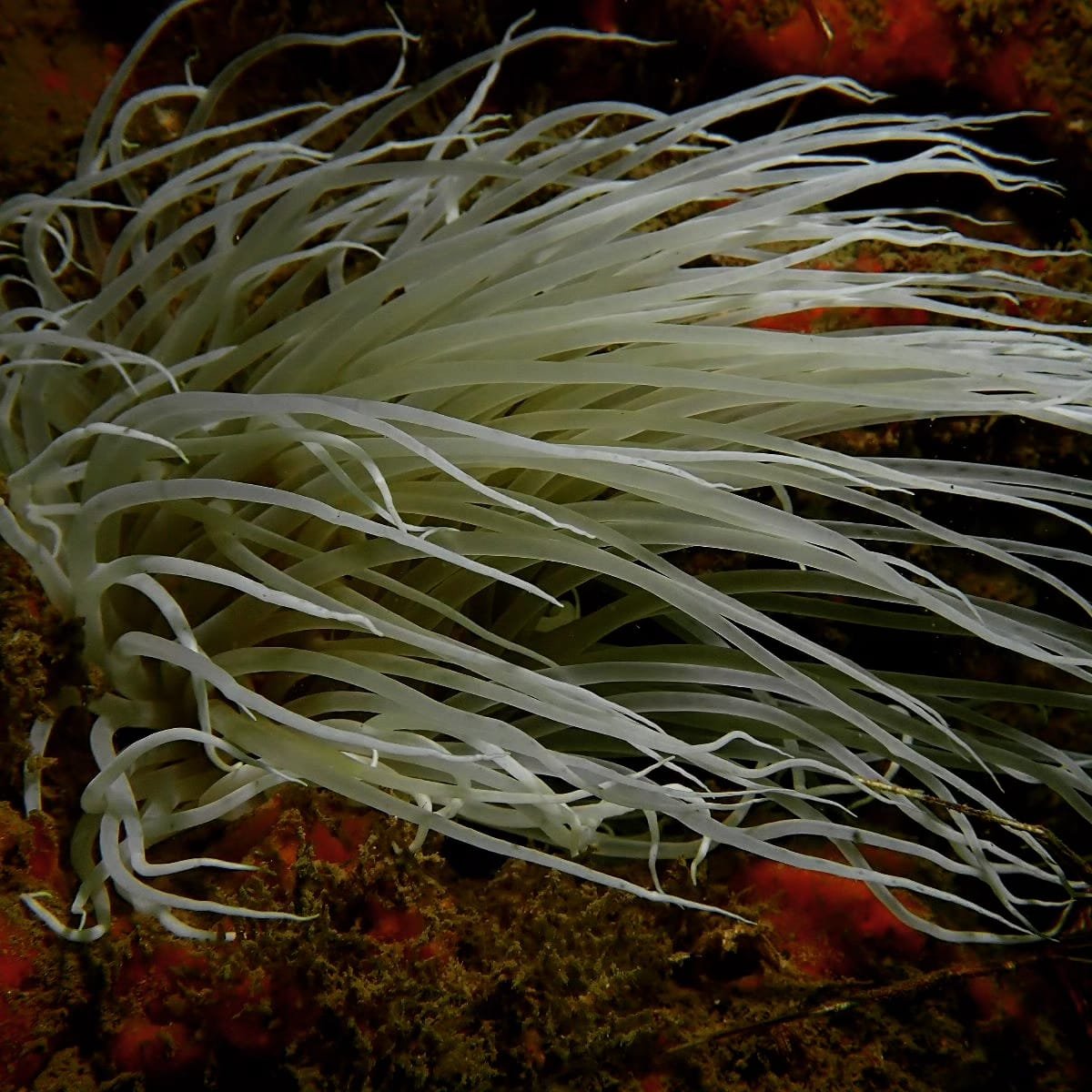 WhatsApp Image 2024-08-19 at 19.13.00