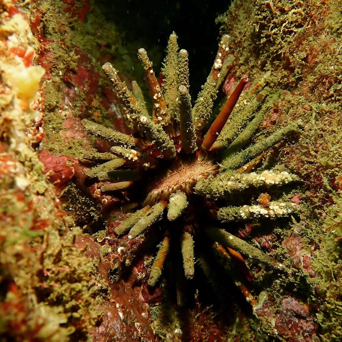 WhatsApp Image 2024-08-19 at 19.13.02