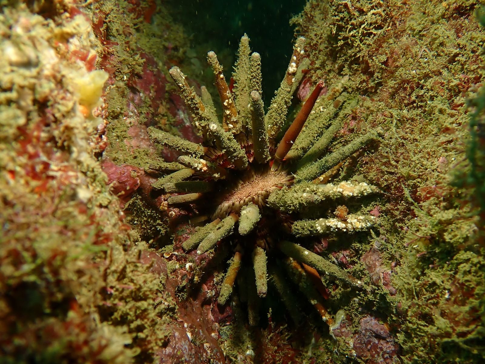 WhatsApp Image 2024-08-19 at 19.13.03 (1)