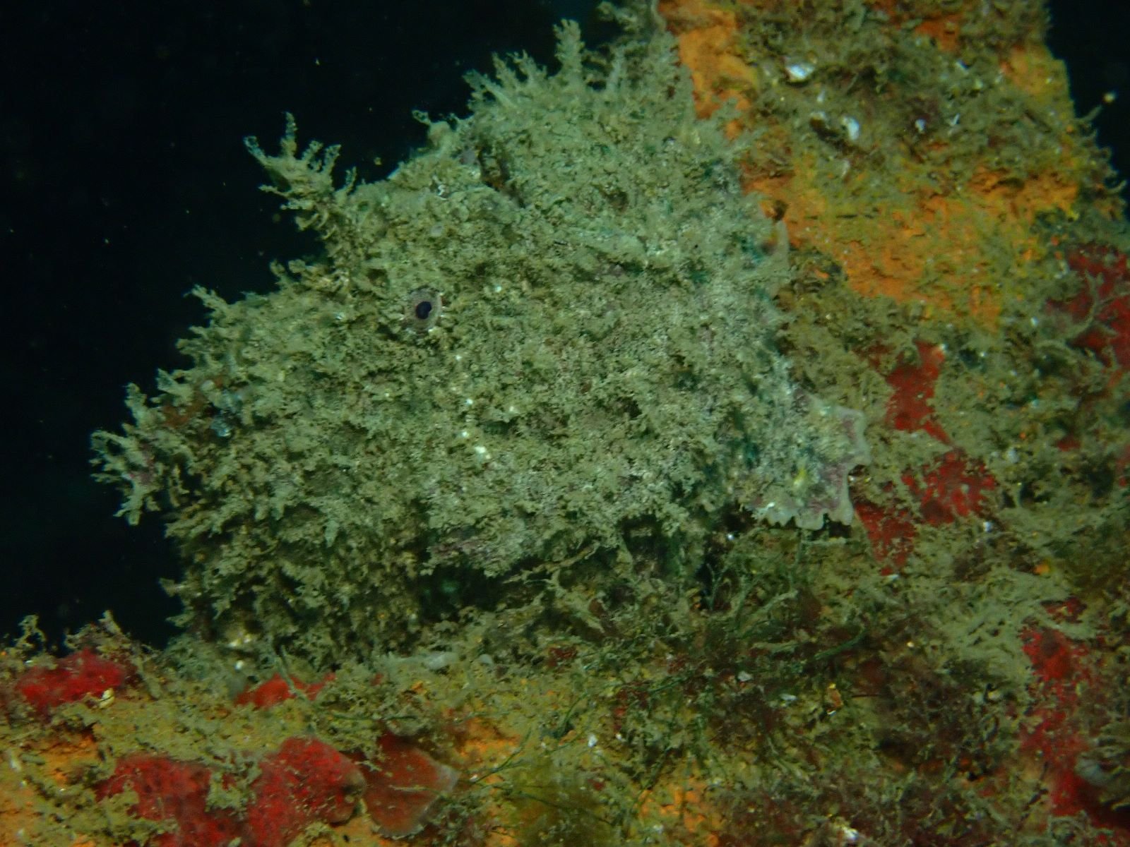 WhatsApp Image 2024-08-19 at 19.13.04