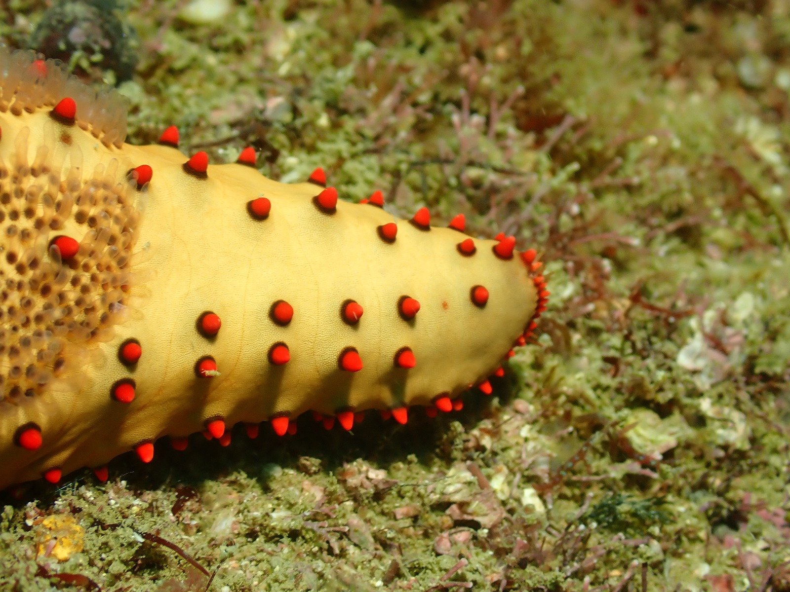 WhatsApp Image 2024-08-19 at 19.13.05