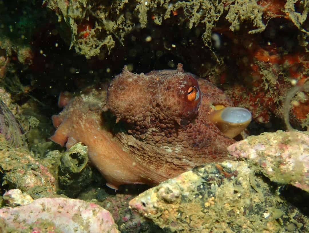 WhatsApp Image 2024-08-23 at 12.04.09