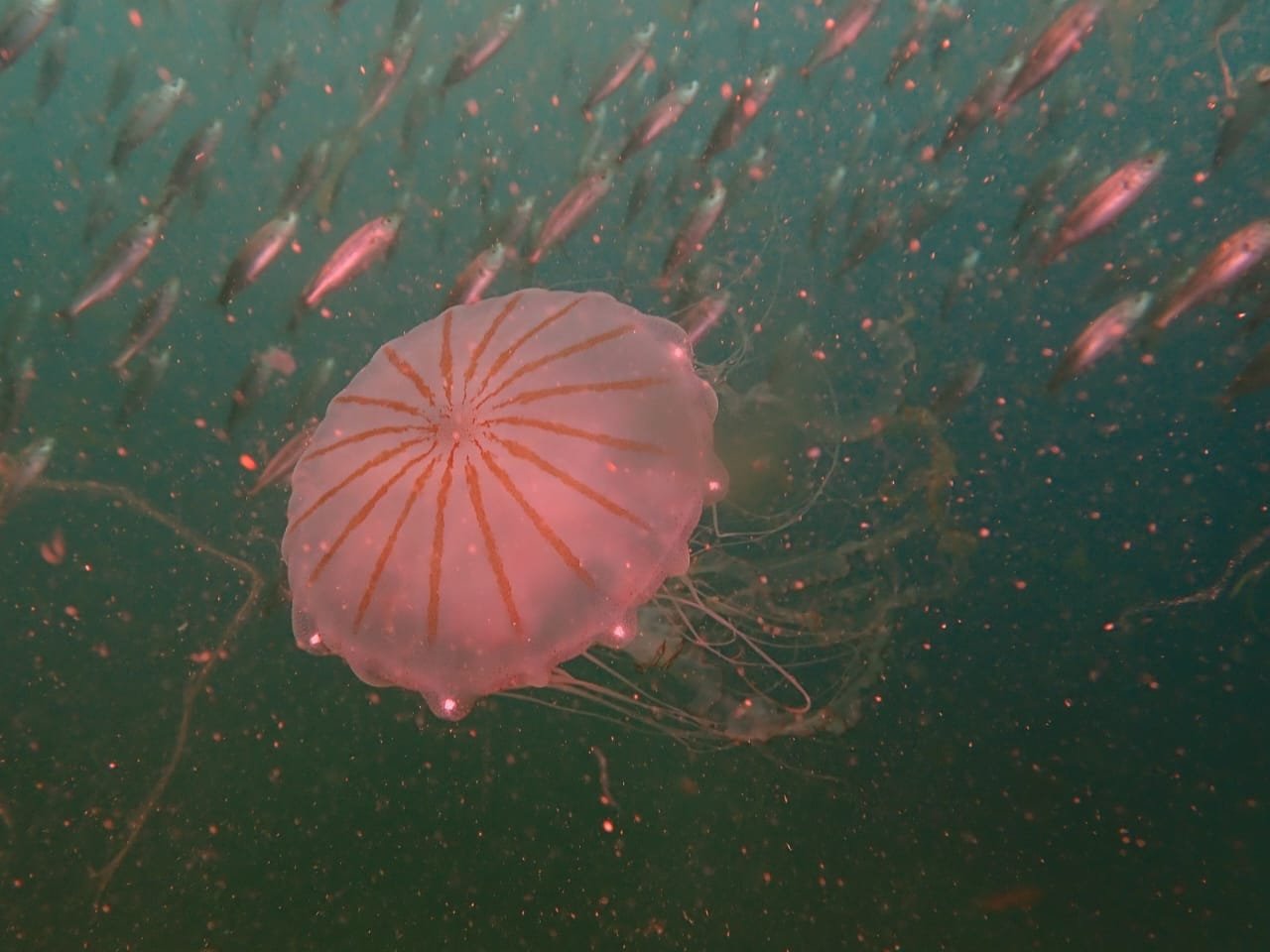 WhatsApp Image 2024-08-23 at 12.04.10