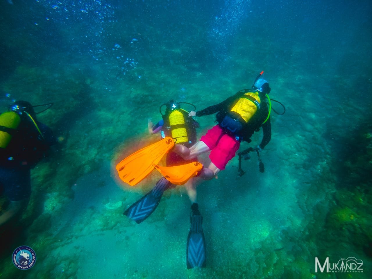 WhatsApp Image 2024-08-23 at 12.13.02 (1)