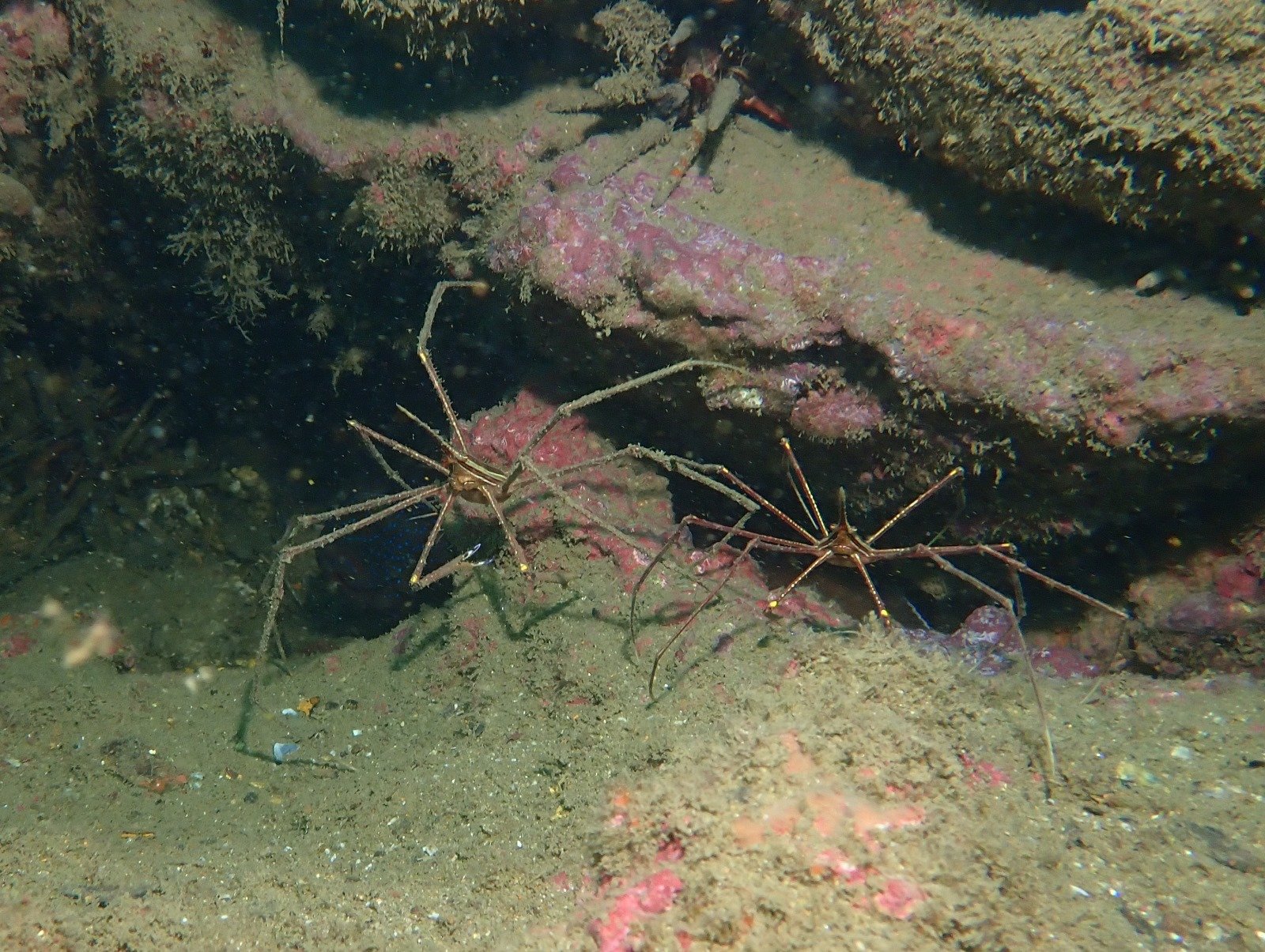 WhatsApp Image 2024-08-23 at 12.17.58