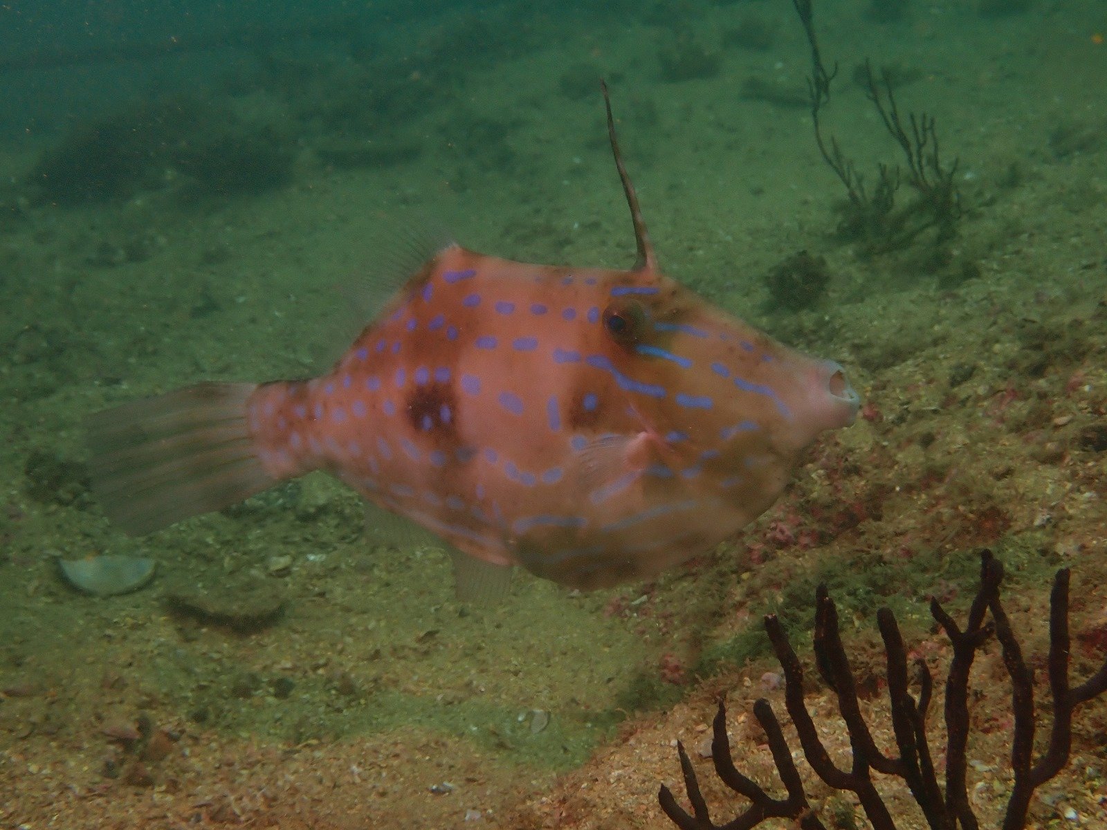 WhatsApp Image 2024-08-23 at 12.18.04