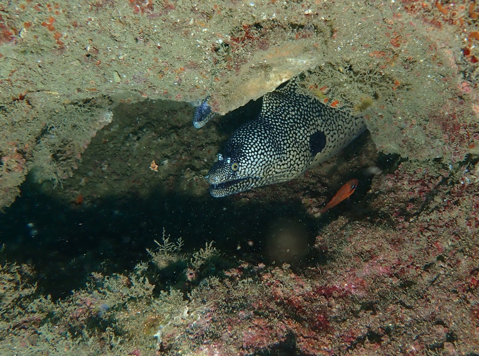 WhatsApp Image 2024-08-23 at 12.18.10