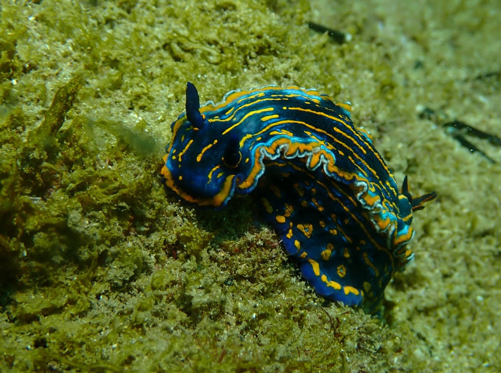 WhatsApp Image 2024-08-23 at 12.18.11