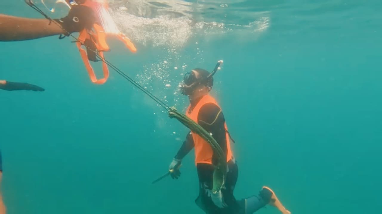 WhatsApp Image 2024-08-23 at 13.07.58