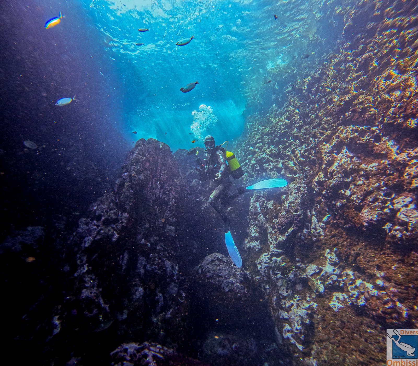 DCIM100GOPROGOPR0044.JPG