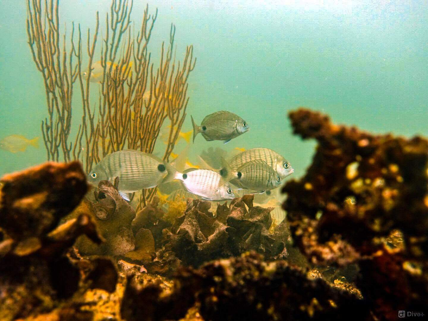 received_953011554876196