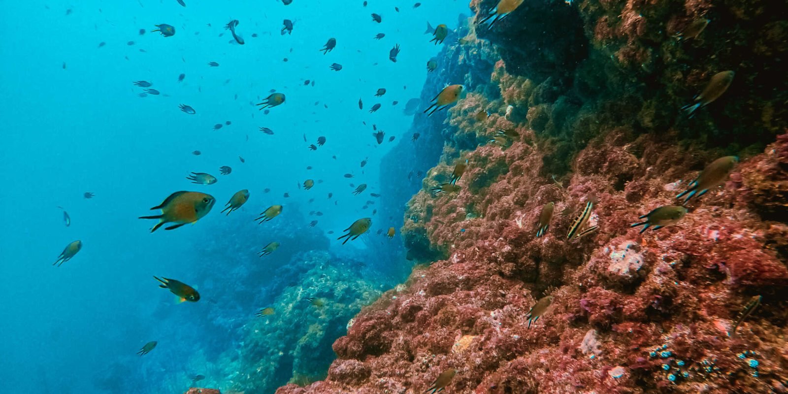 DCIM100GOPROGOPR0024.JPG